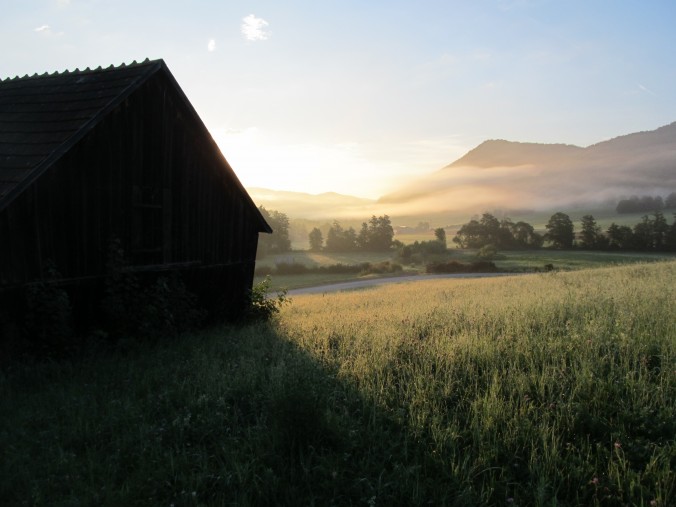 Wie gut die Natur gegen Stress hilft